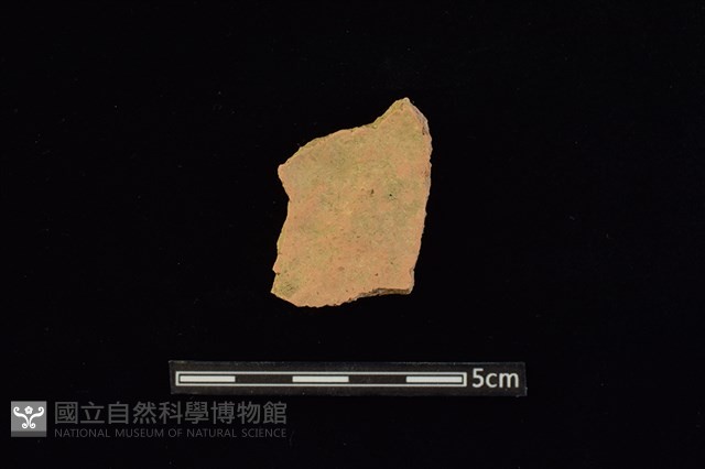 陶片藏品圖，第2張