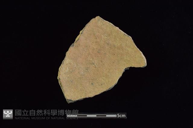 陶片藏品圖，第2張