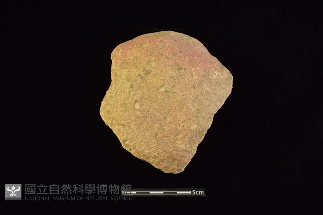 陶蓋藏品圖，第2張