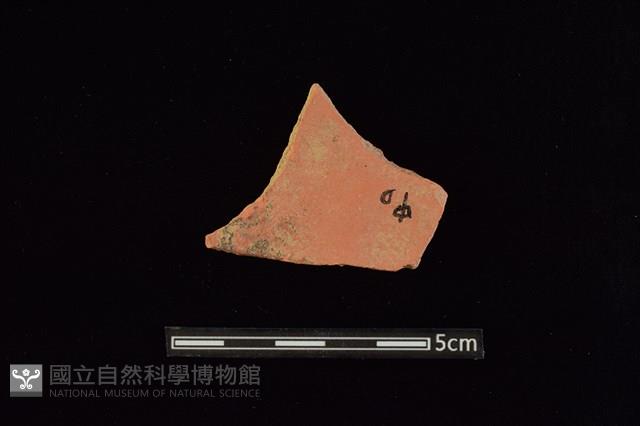 陶片藏品圖，第2張