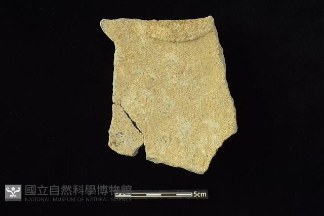 陶罐藏品圖，第2張