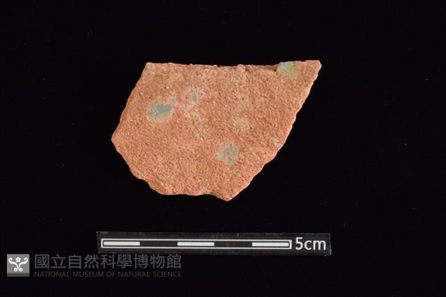 陶片藏品圖，第2張