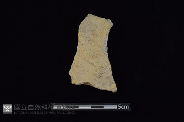 陶片藏品圖，第2張