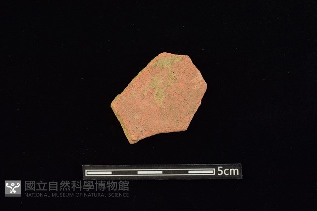 陶片藏品圖，第2張