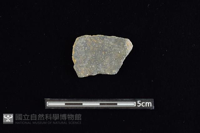 陶片藏品圖，第2張