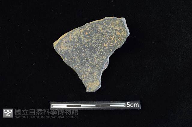 陶片藏品圖，第2張