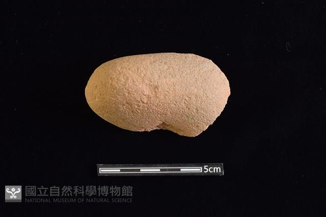 石材藏品圖，第2張