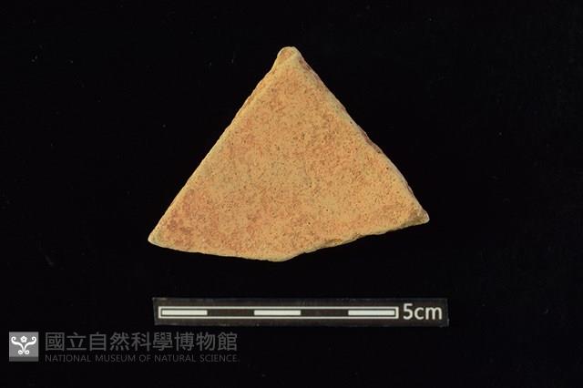 陶片藏品圖，第2張