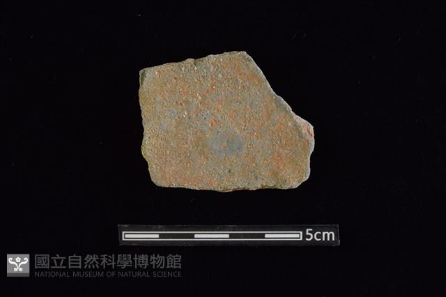 陶片藏品圖，第2張