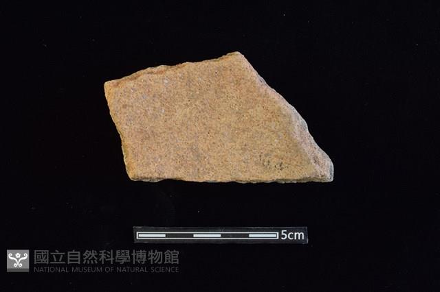 陶片藏品圖，第2張