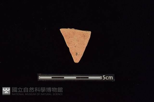 陶片藏品圖，第2張