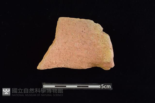 陶罐藏品圖，第2張