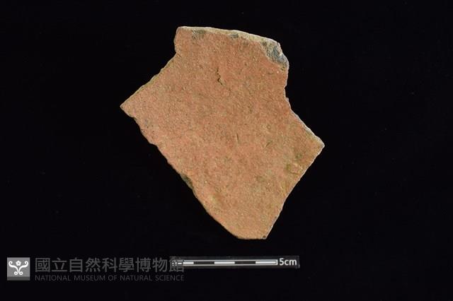 陶片藏品圖，第2張