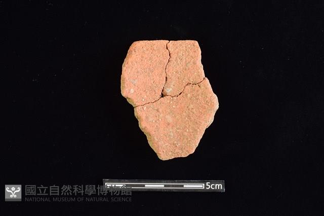 陶片藏品圖，第2張