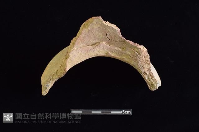 陶罐藏品圖，第3張