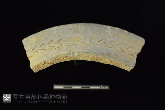 陶缽 藏品圖，第3張