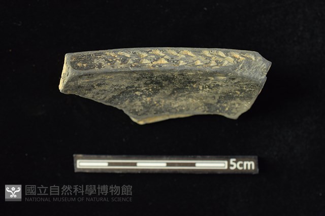 陶缽 藏品圖，第3張