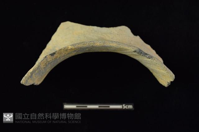 陶罐藏品圖，第3張