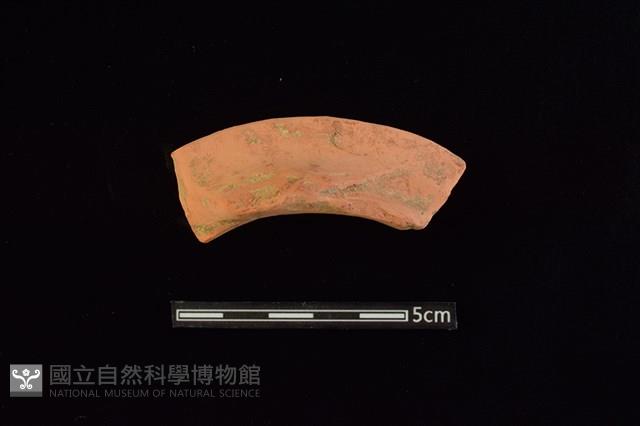 陶罐藏品圖，第3張