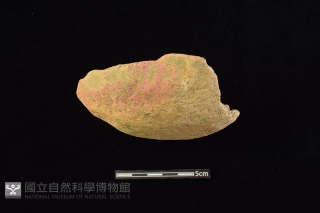 陶蓋藏品圖，第3張