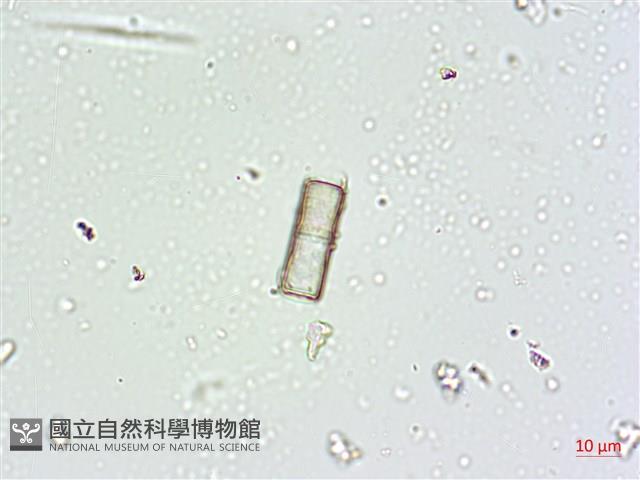 登錄號:A00004662藏品圖，第10張