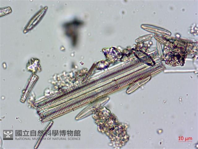 登錄號:A00004671藏品圖，第10張