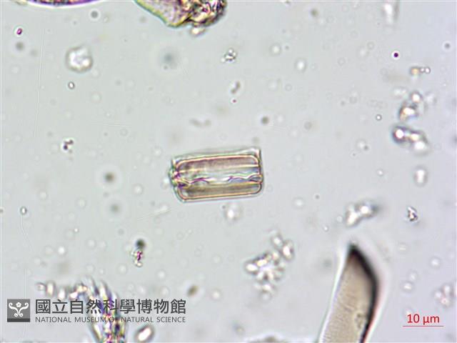 登錄號:A00004661藏品圖，第10張