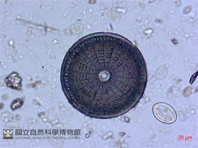 登錄號:A00004530藏品圖，第9張