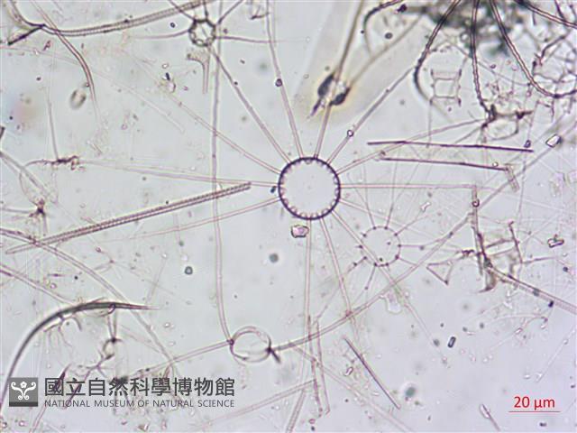 登錄號:A00004650藏品圖，第10張