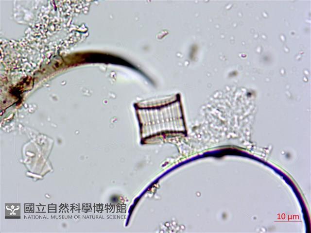 登錄號:A00004660藏品圖，第10張