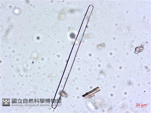 登錄號:A00004560藏品圖，第10張