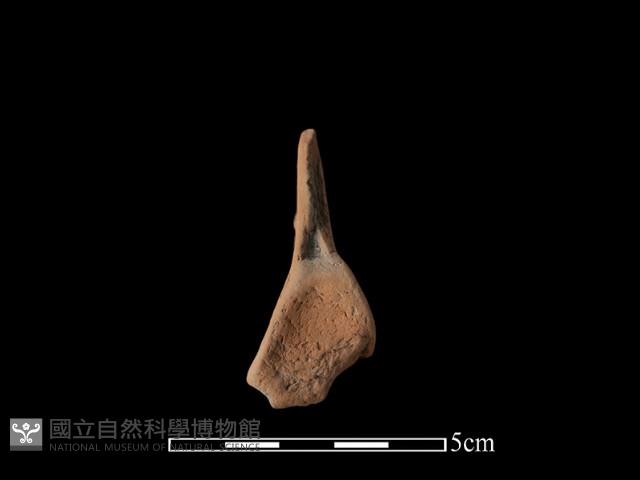 連杯形器藏品圖，第3張