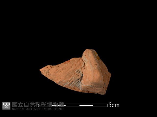 連杯形器藏品圖，第3張