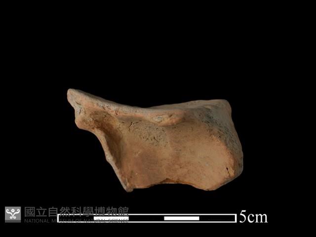 連杯形器藏品圖，第3張