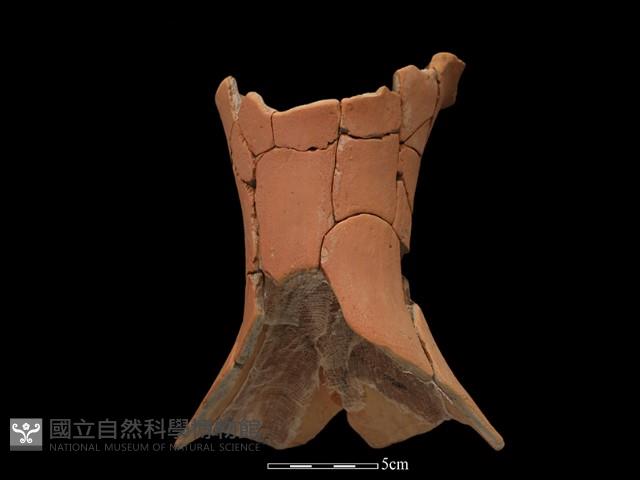 豆形器藏品圖，第3張