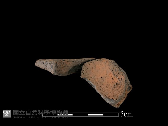 連杯形器藏品圖，第3張