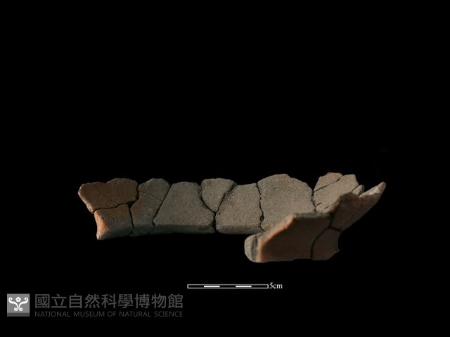 陶罐藏品圖，第1張