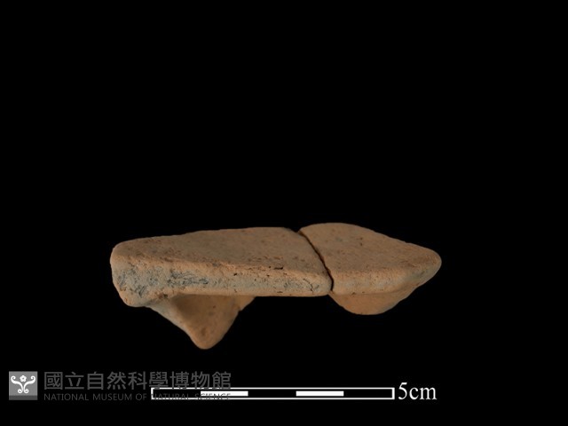 豆形器藏品圖，第1張