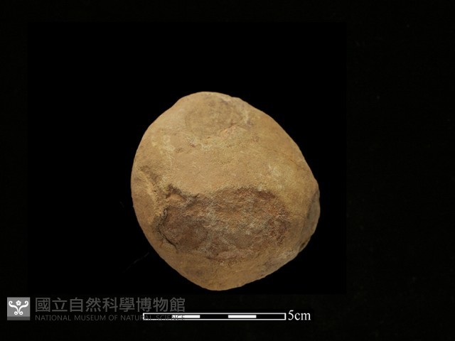 石鎚藏品圖，第3張
