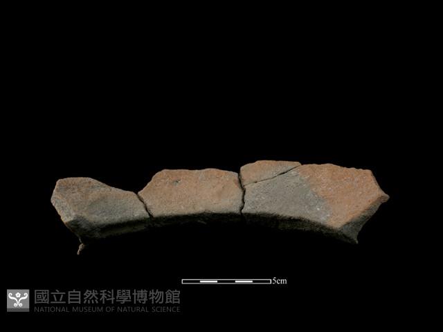 陶罐藏品圖，第3張