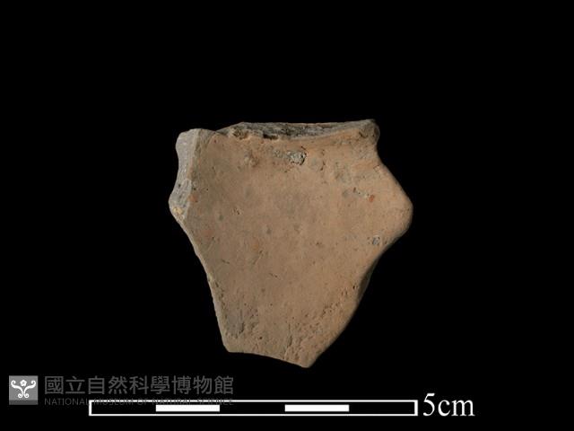 豆形器藏品圖，第1張