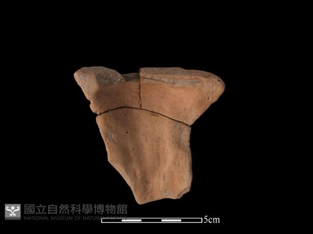 豆形器藏品圖，第3張