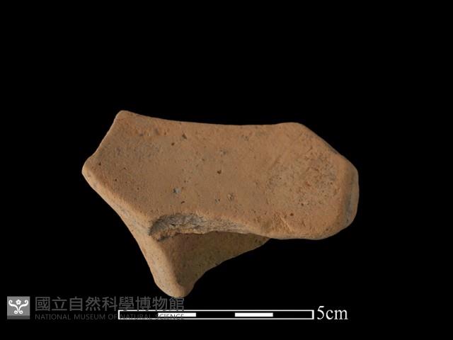 豆形器藏品圖，第3張