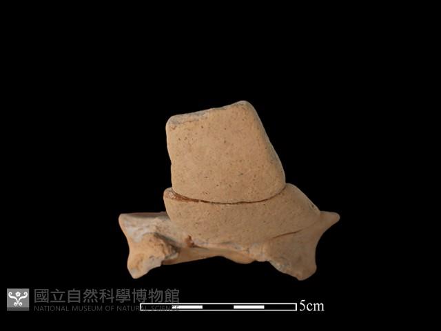 豆形器藏品圖，第3張