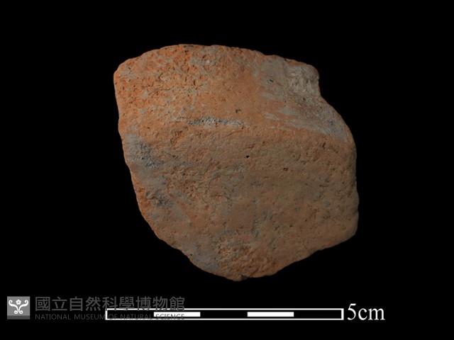 陶片藏品圖，第3張