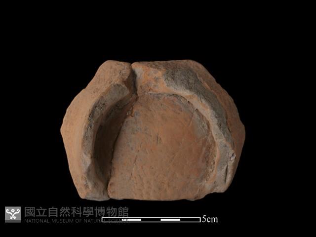 豆形器藏品圖，第3張