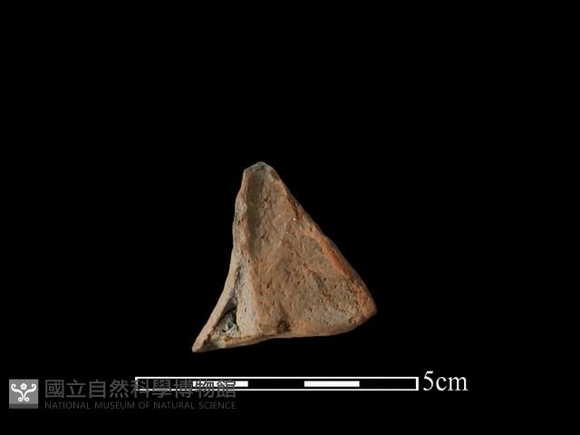 連杯形器藏品圖，第3張