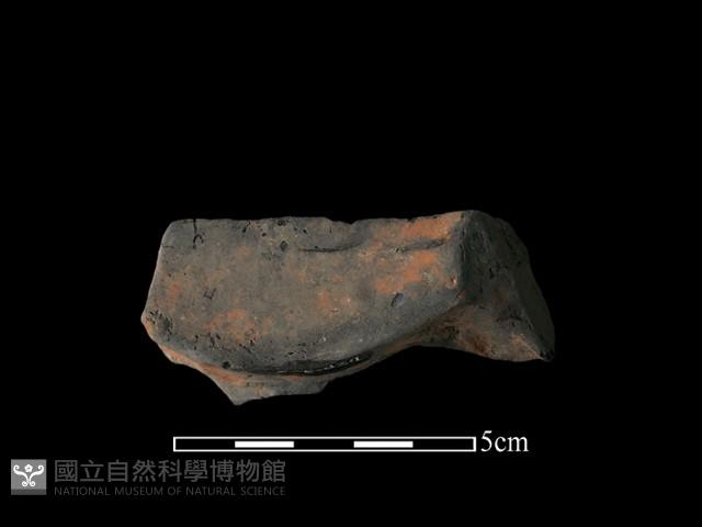 連杯形器藏品圖，第1張