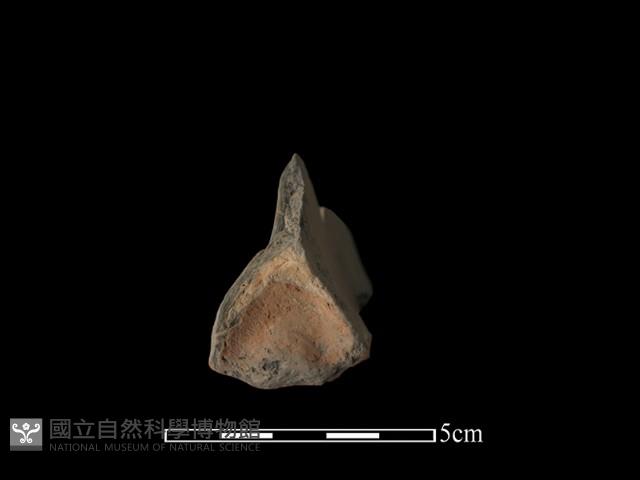 連杯形器藏品圖，第3張