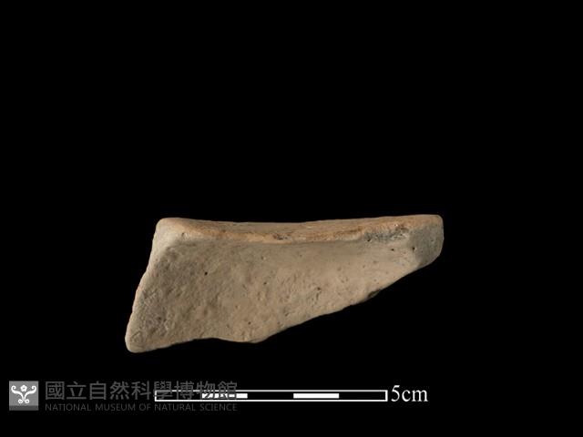 豆形器藏品圖，第3張